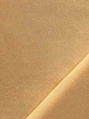 Robert Allen Rangella | Jasmine Multipurpose - 030776