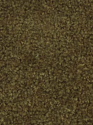 Robert Allen Elemental Frise | Loden Upholstery - 040485
