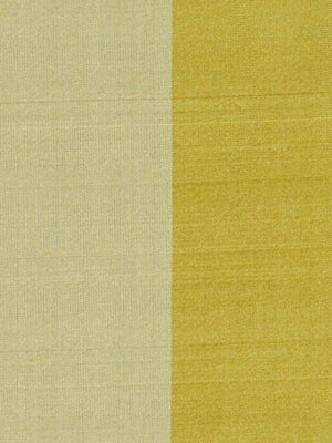 Robert Allen Palmeiro | Pear Multipurpose - 046056