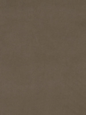 Robert Allen Novasuede | Mocha Upholstery - 052173