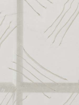 Robert Allen Pinjara | Ivory Drapery - 086369