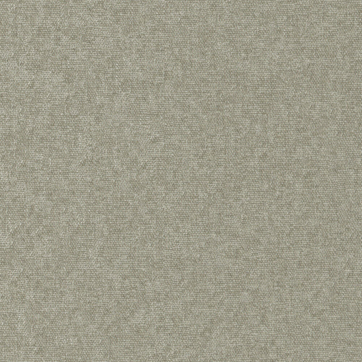 MAXWELL FABRICS CHENILLES SOLIDS,TEXTURES # 905 FUNGHI - CHE905