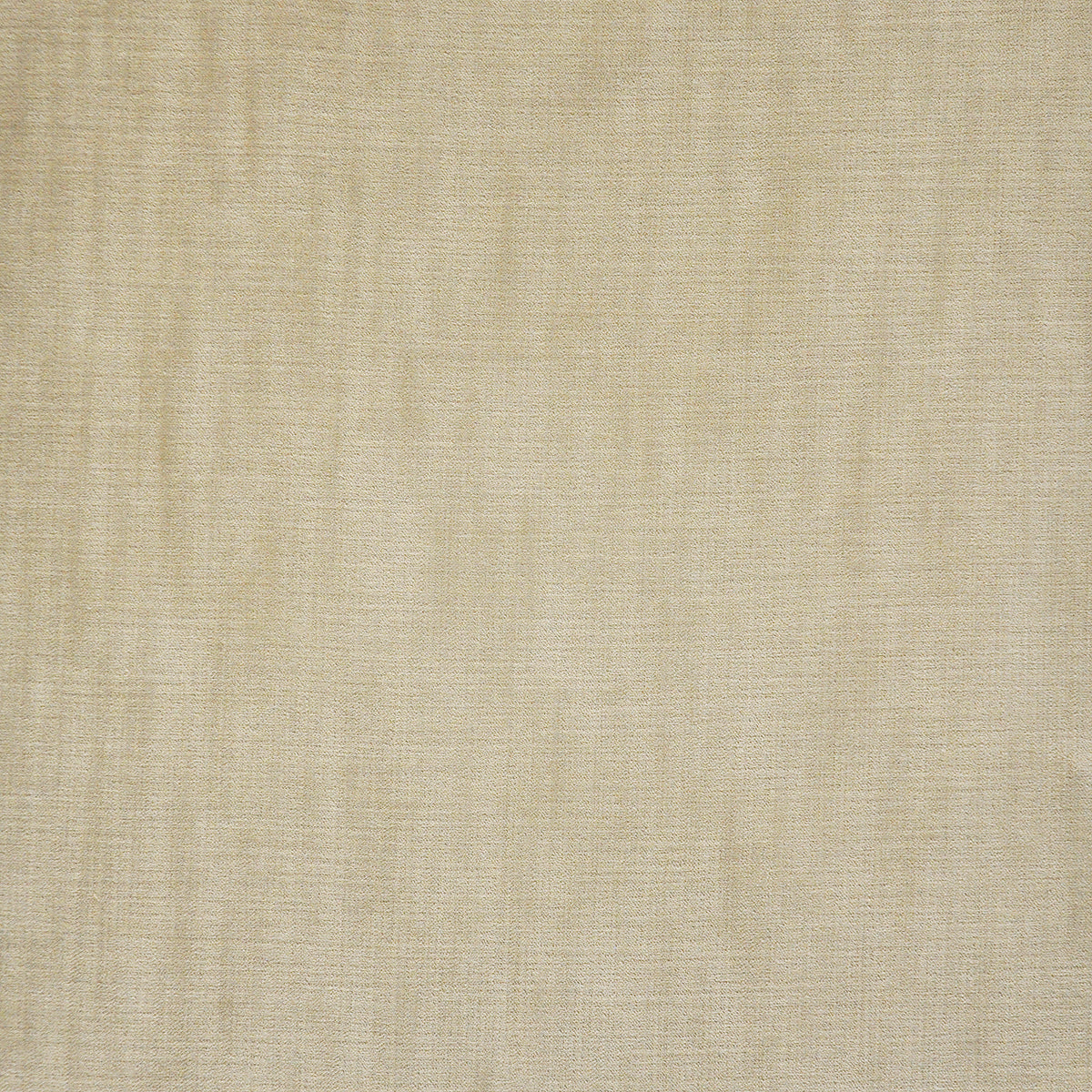 MAXWELL FABRICS VELVET SOLID,TEXTURE # 707 SAVANNAH - MW0707