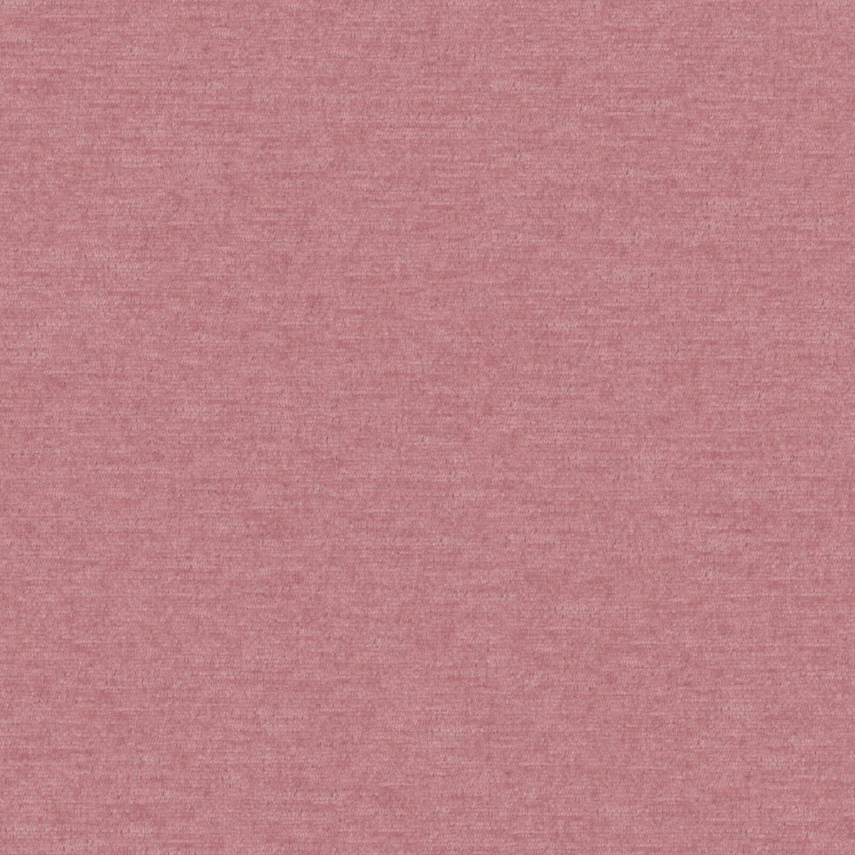 MAXWELL FABRICS CHENILLES SOLIDS,TEXTURES # 883 PETAL - PZ7883