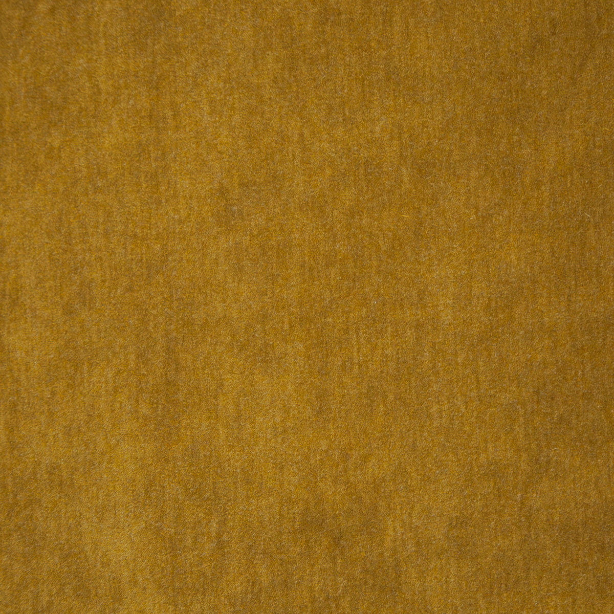 MAXWELL FABRICS VELVET SOLID,TEXTURE # 108 GOLD - BEP108