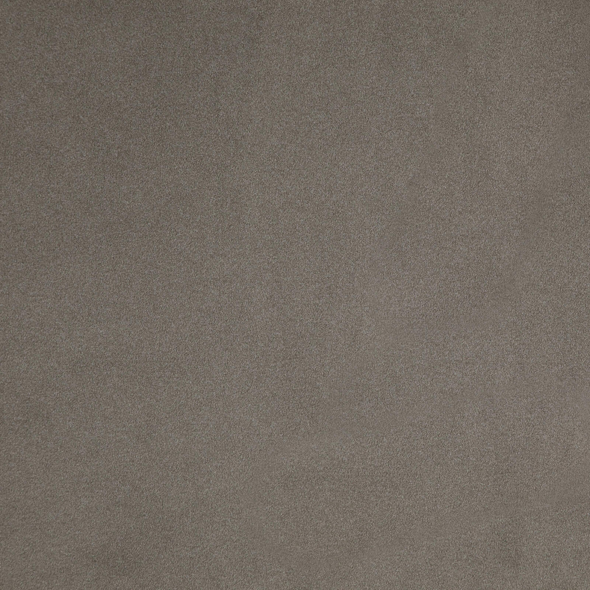 MAXWELL FABRICS VELVET SOLID,TEXTURE # 17 ELEPHANT - BCX017