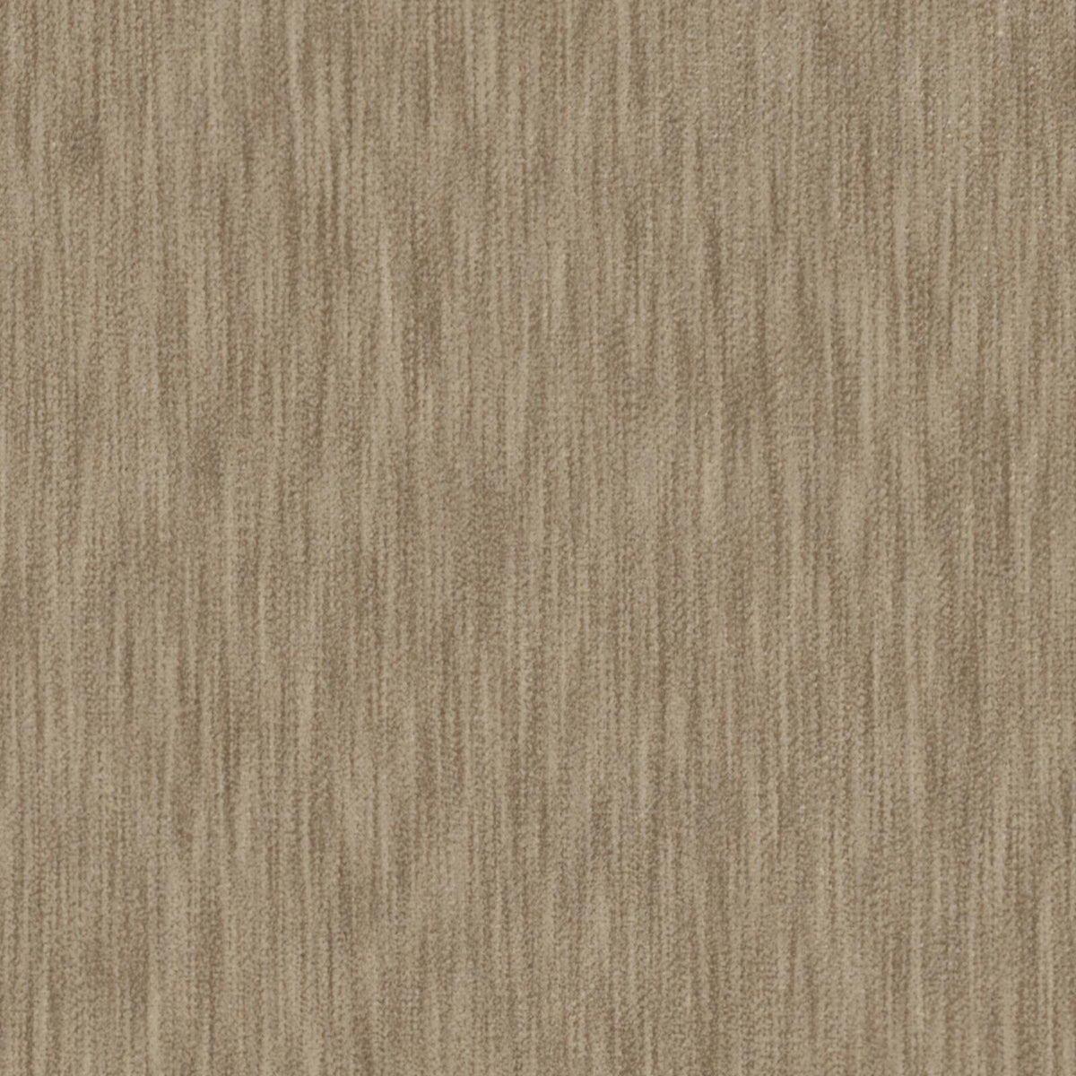 MAXWELL FABRICS VELVET SOLID,TEXTURE # 441 LINEN - VB5441