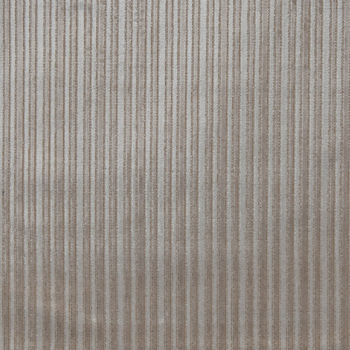 MAXWELL FABRICS VELVET PATTERN # 622 PEARL - LS0622