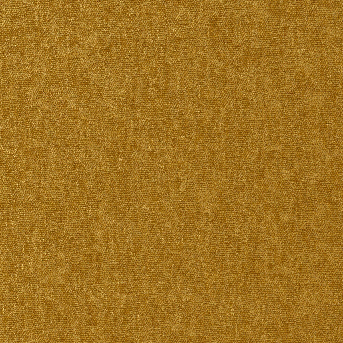 MAXWELL FABRICS CHENILLES SOLIDS,TEXTURES # 903 BUTTERSCOTCH - CHE903