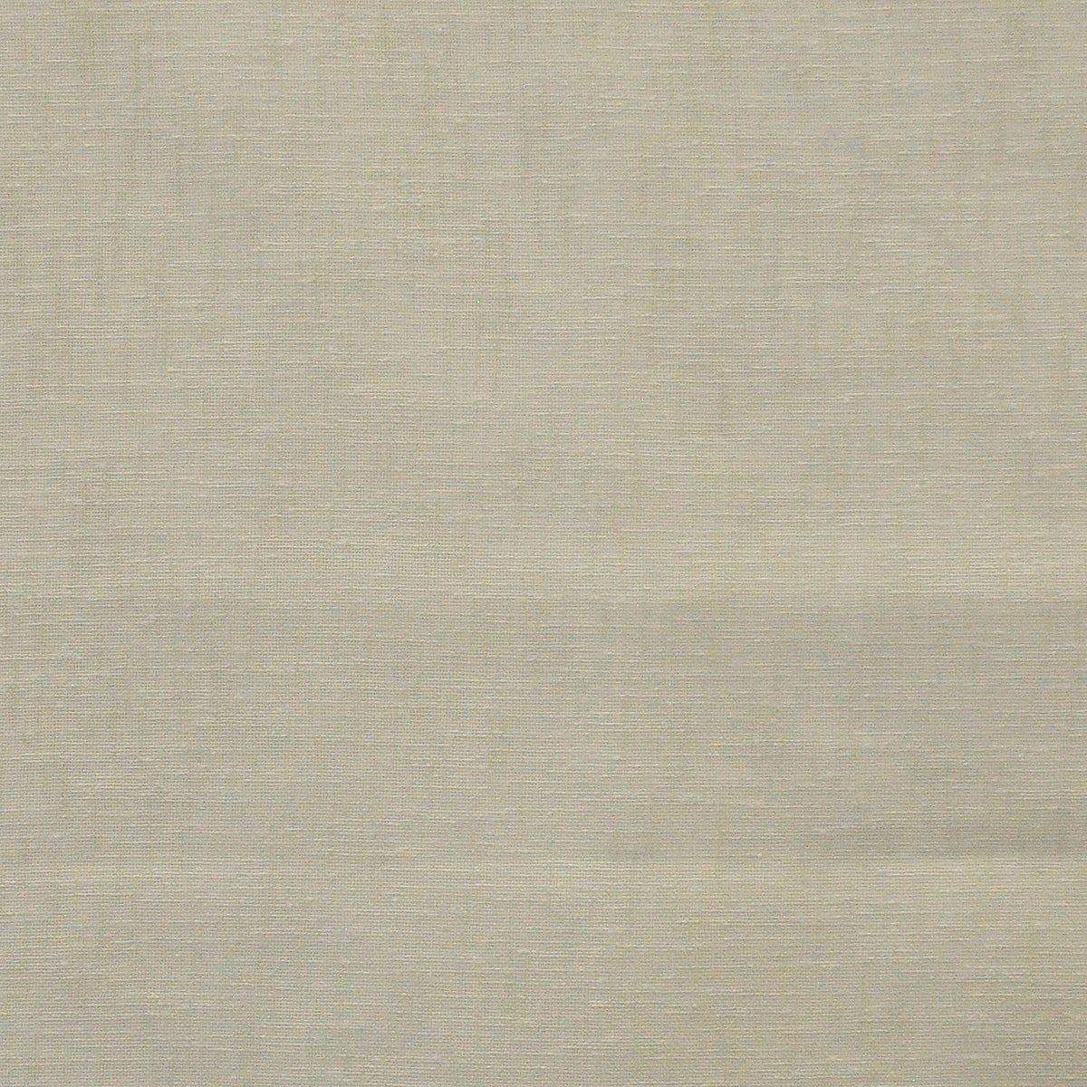MAXWELL FABRICS SHEER SOLID,TEXTURE # 625 AU LAIT - PAC625