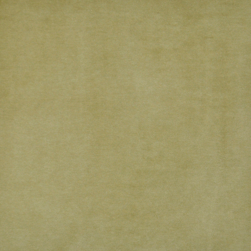 MAXWELL FABRICS VELVET SOLID,TEXTURE # 421 OLIVE - SIE421