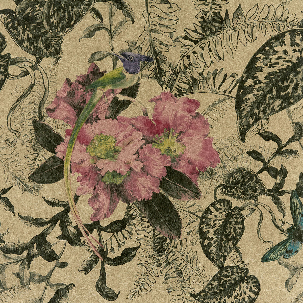 MAXWELL FABRICS WALLPAPER - WP # 01 BRACKEN - 200814401