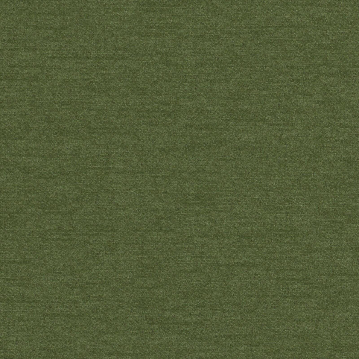 MAXWELL FABRICS CHENILLES SOLIDS,TEXTURES # 816 KELP - PZ7816