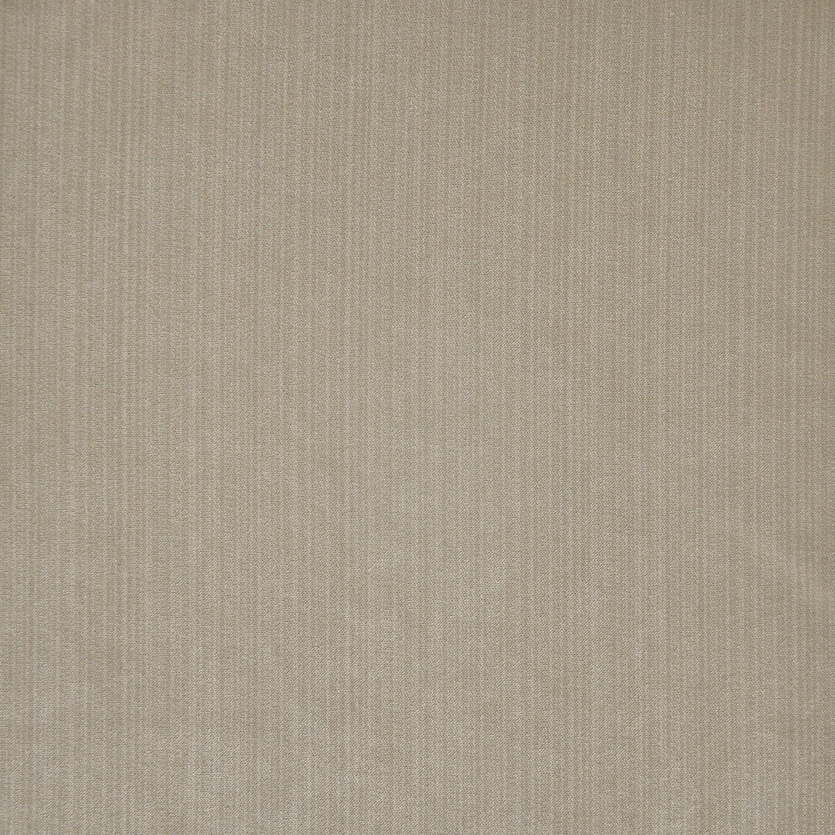 MAXWELL FABRICS VELVET SOLID,TEXTURE # 773 PEWTER - GG6773