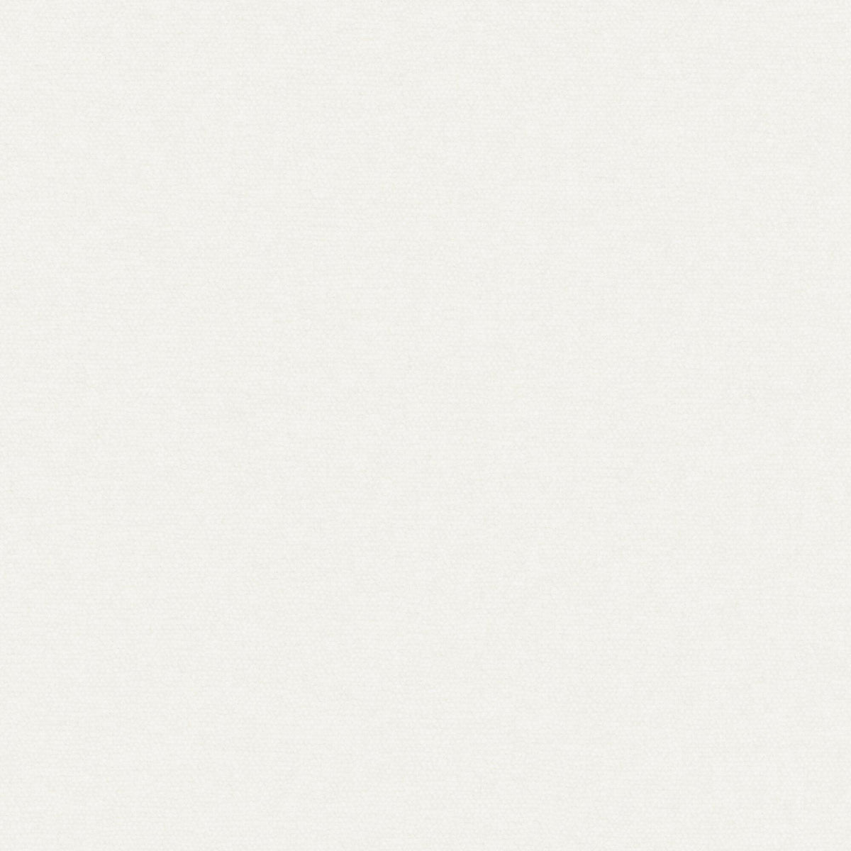 MAXWELL FABRICS CHENILLES SOLIDS,TEXTURES # 946 BONE - CHE946