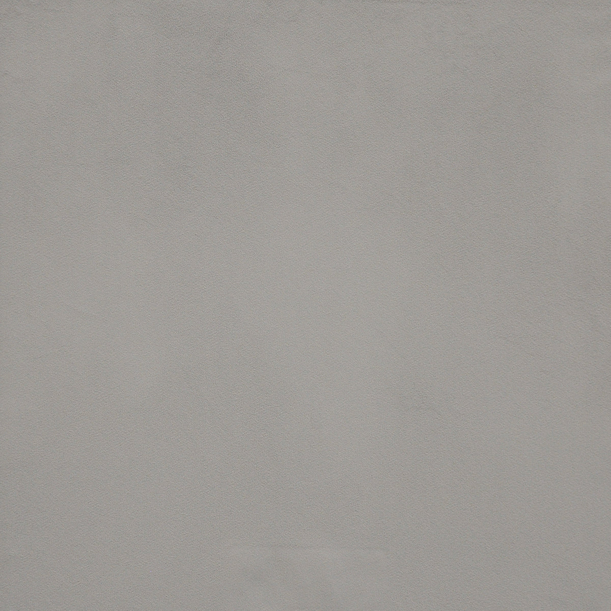 MAXWELL FABRICS VELVET SOLID,TEXTURE # 788 GULL - BCG788
