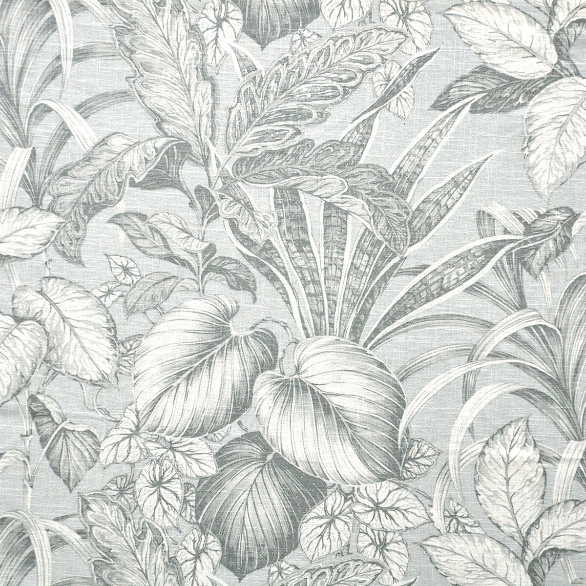 MAXWELL FABRICS PRINTS # 809 SKY - FP4809