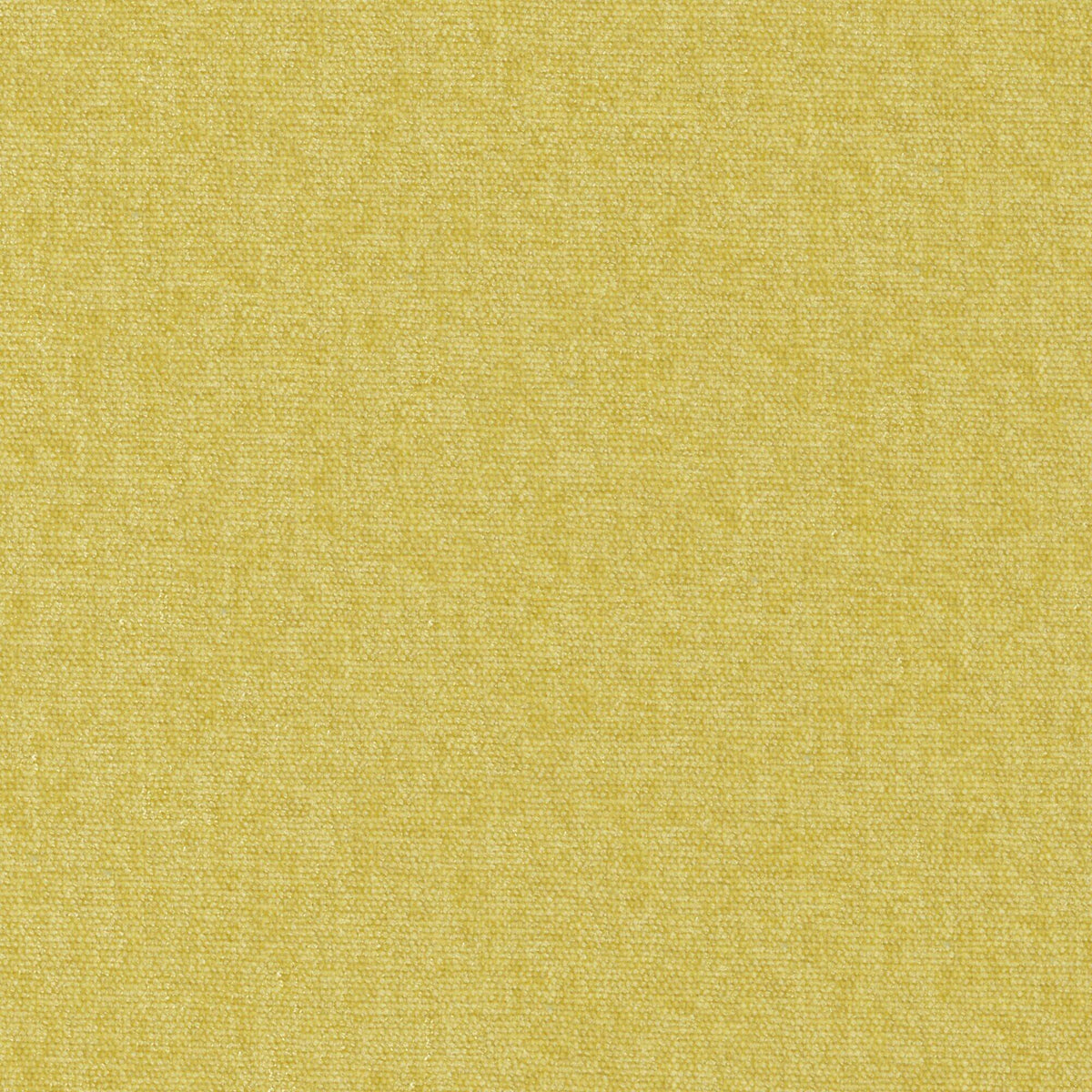 MAXWELL FABRICS CHENILLES SOLIDS,TEXTURES # 805 LINDEN - CHE805