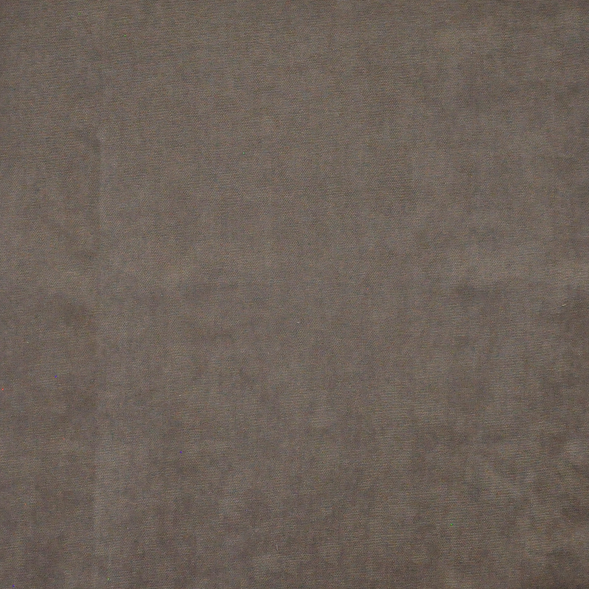 MAXWELL FABRICS SHEER SOLID,TEXTURE # 662 MOOSE - LQ3662