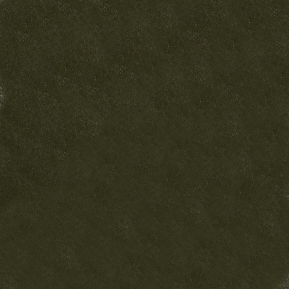 MAXWELL FABRICS FAUX LEATHER # 102 CACTUS - GE0102