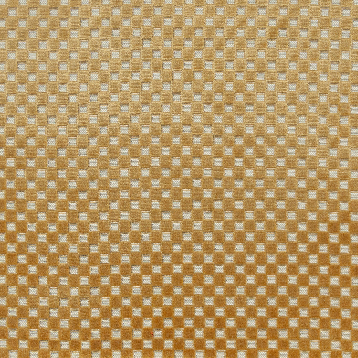 MAXWELL FABRICS VELVET PATTERN # 636 MIDAS - BEQ636