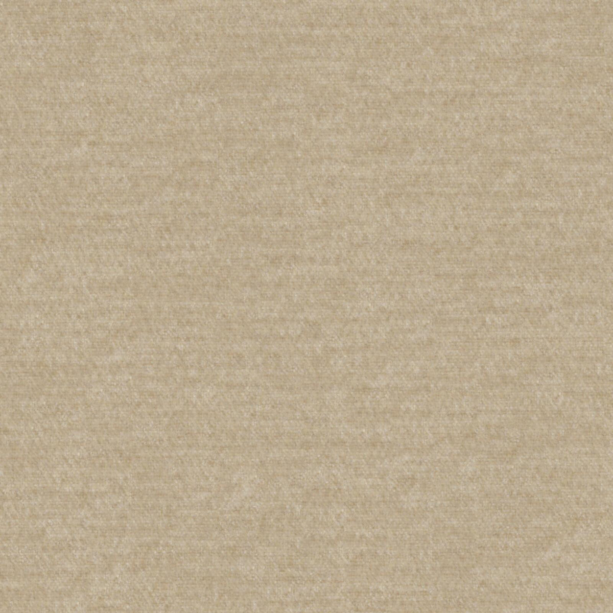 MAXWELL FABRICS CHENILLES SOLIDS,TEXTURES # 437 DUNE - CHM437