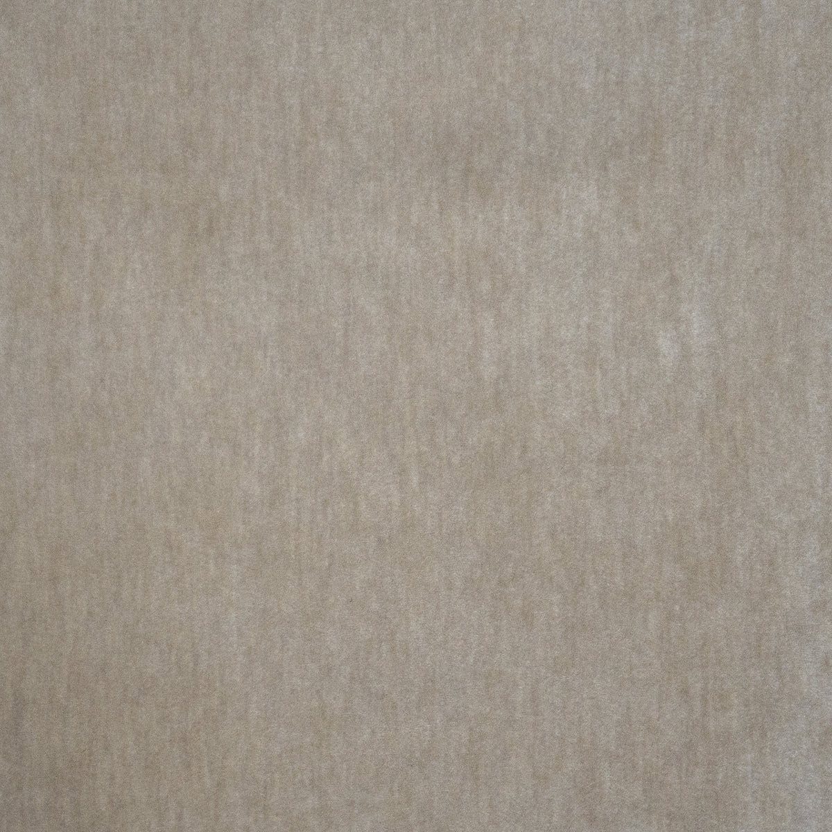 MAXWELL FABRICS VELVET SOLID,TEXTURE # 116 DOVE - BEP116