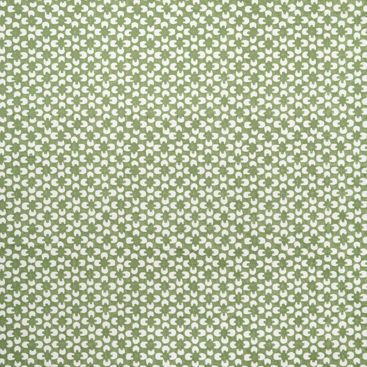 MAXWELL FABRICS DRAPERY,MULTI- PATTERN # 624 ALOE - RR6624