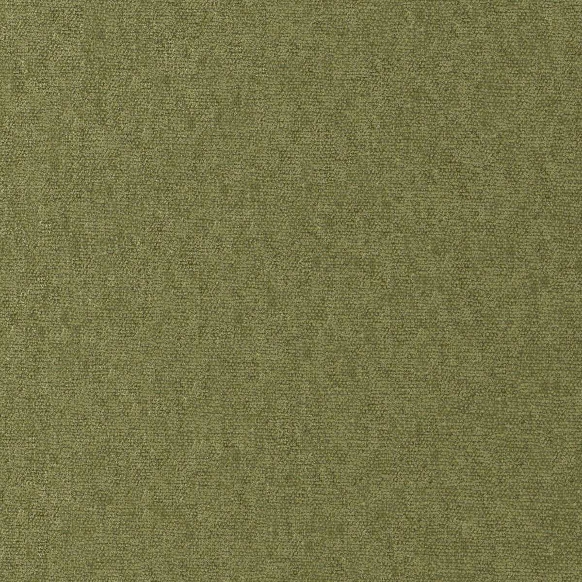 MAXWELL FABRICS CHENILLES SOLIDS,TEXTURES # 812 OLIVE - CHE812