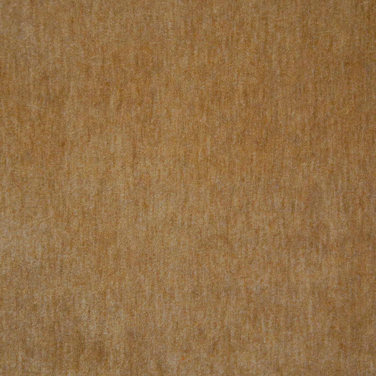 MAXWELL FABRICS VELVET SOLID,TEXTURE # 117 CAMEL - BEP117