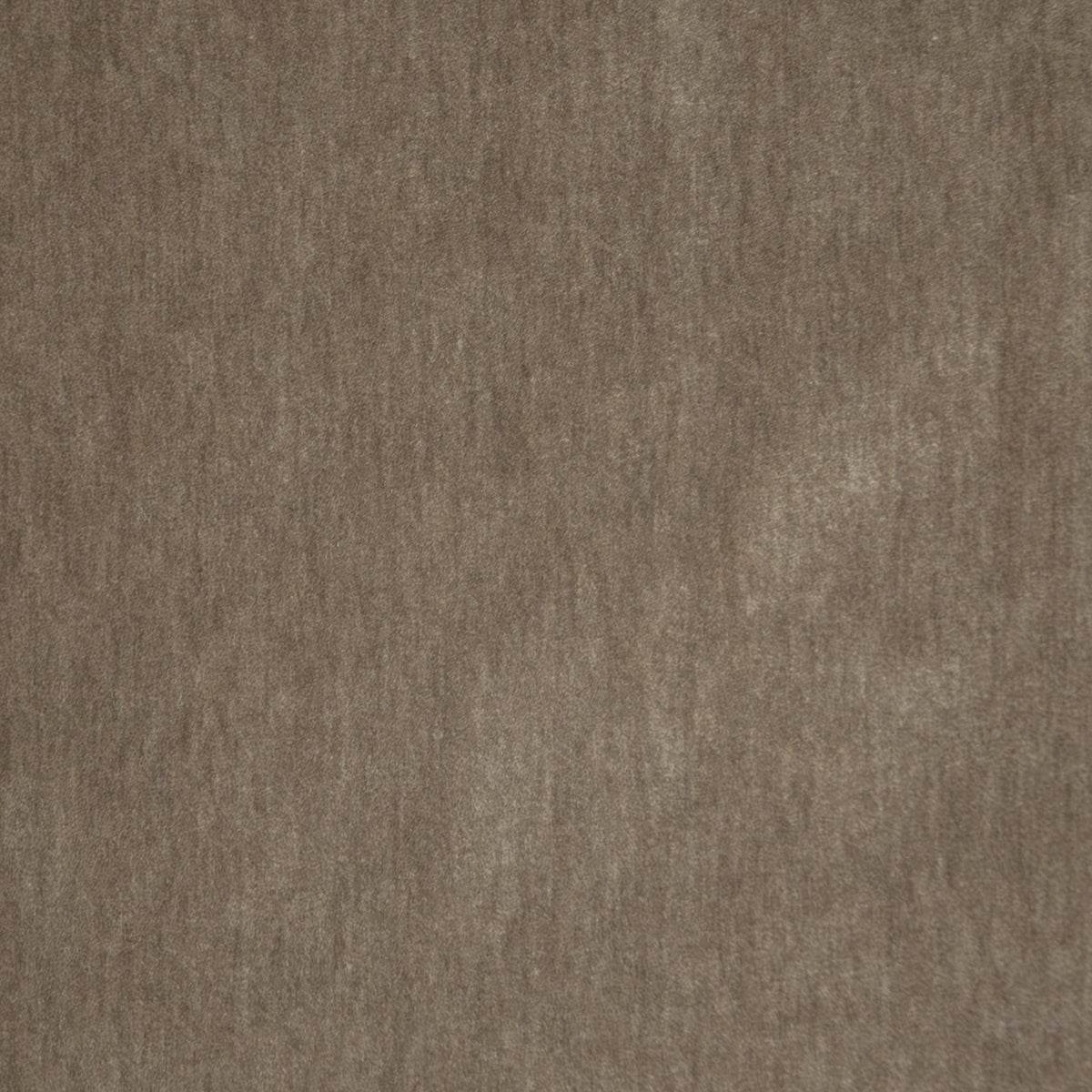 MAXWELL FABRICS VELVET SOLID,TEXTURE # 101 GREYHOUND - BEP101