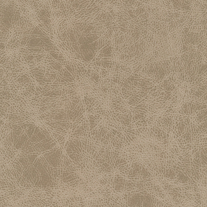 MAXWELL FABRICS FABRIC # 1027 KIT FOX - NC01027