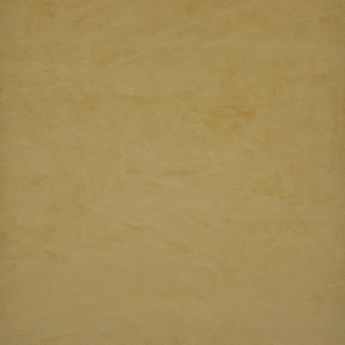 MAXWELL FABRICS VELVET SOLID,TEXTURE # 520 BUTTERSCOTCH - FL7520