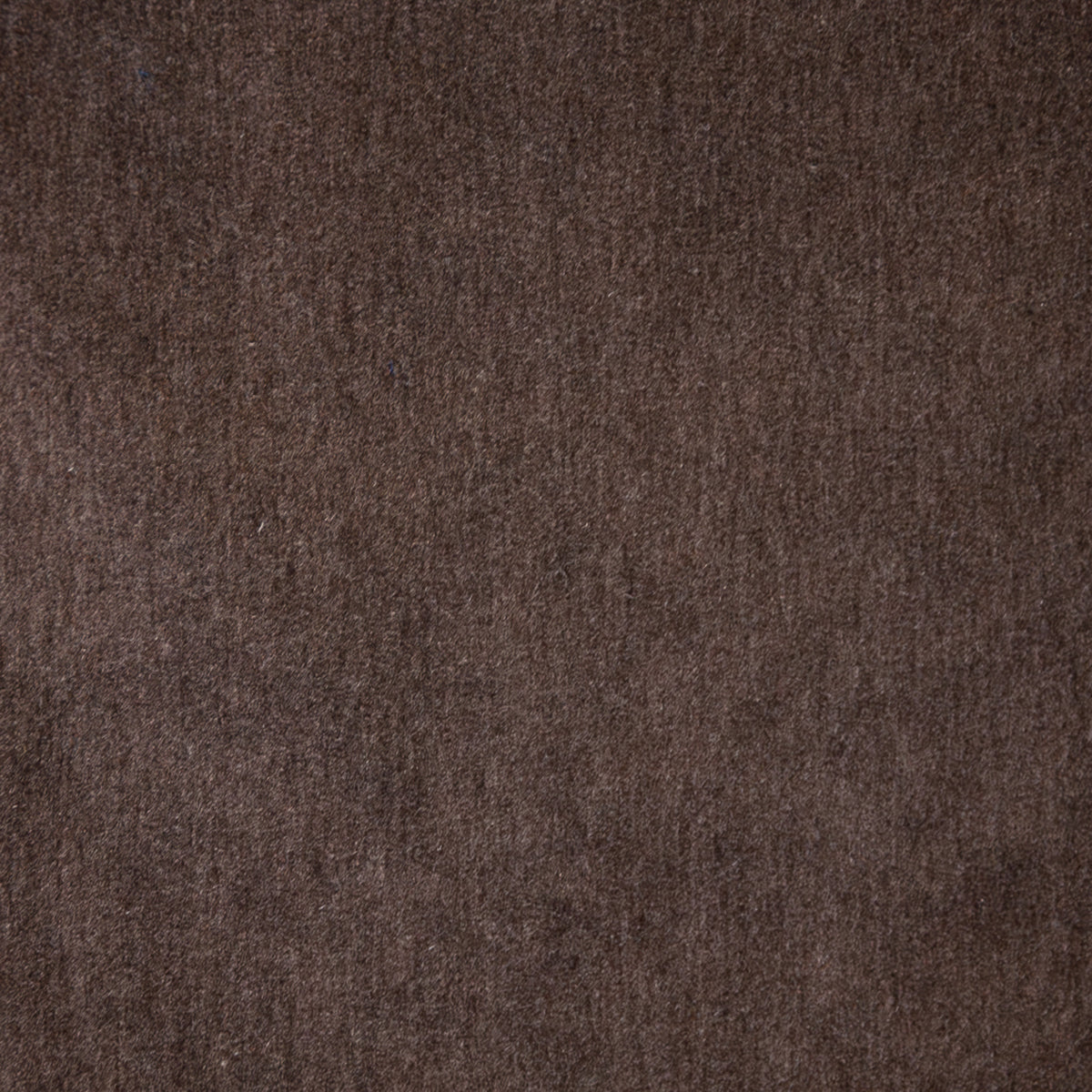 MAXWELL FABRICS VELVET SOLID,TEXTURE # 121 GRAY OWL - BEP121