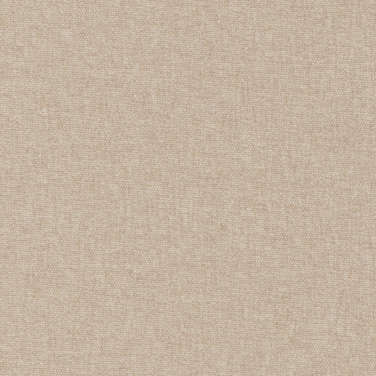 MAXWELL FABRICS CHENILLES SOLIDS,TEXTURES # 929 SESAME - CHE929