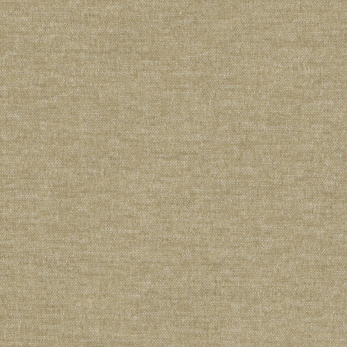 MAXWELL FABRICS CHENILLES SOLIDS,TEXTURES # 820 PUTTY - AT9820