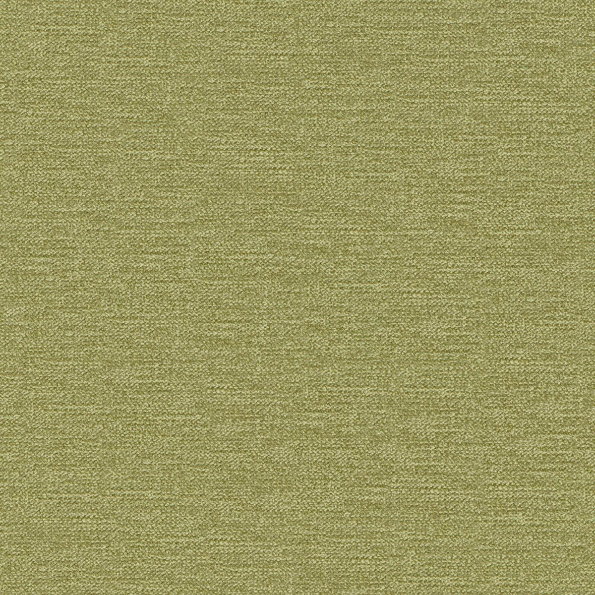 MAXWELL FABRICS CHENILLES SOLIDS,TEXTURES # 810 FERN - I08810