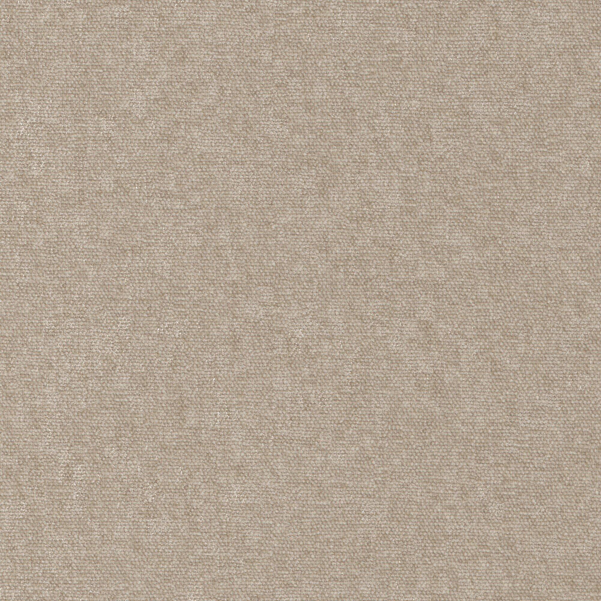 MAXWELL FABRICS CHENILLES SOLIDS,TEXTURES # 928 TAUPE - CHE928