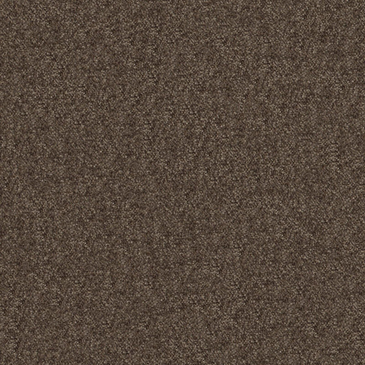 MAXWELL FABRICS CHENILLES SOLIDS,TEXTURES # 442 BEAVER - CHM442