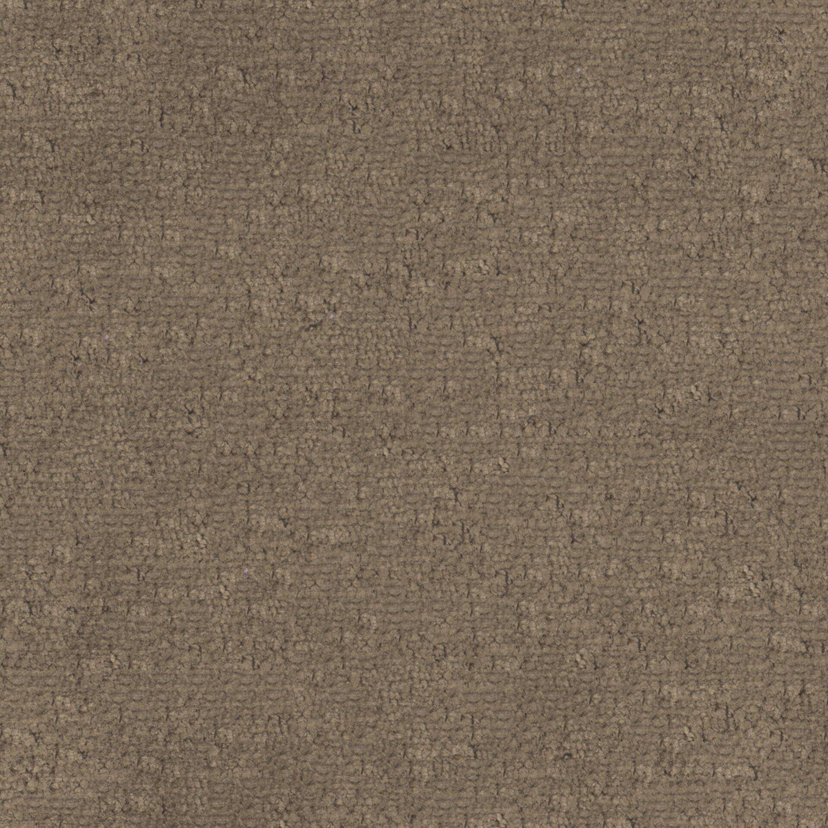 MAXWELL FABRICS CHENILLES SOLIDS,TEXTURES # 810 BROWNIE - BFA810