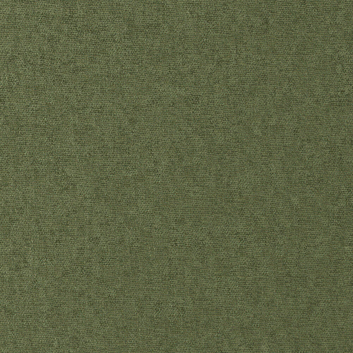 MAXWELL FABRICS CHENILLES SOLIDS,TEXTURES # 815 PESTO - CHE815