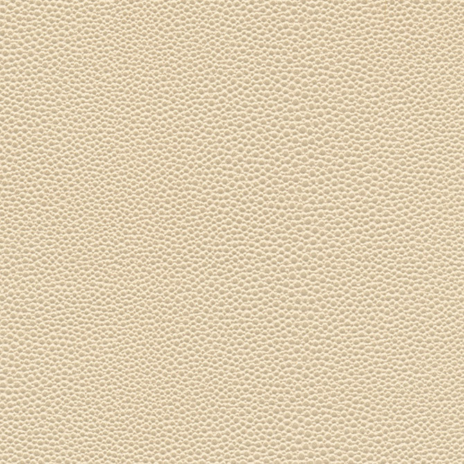 MAXWELL FABRICS FABRIC # 1067 SEASHELL - SND1067