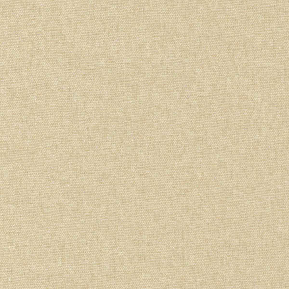 MAXWELL FABRICS CHENILLES SOLIDS,TEXTURES # 948 DUNE - CHE948