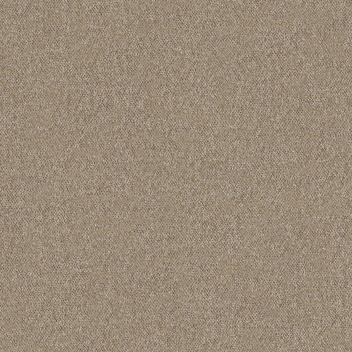 MAXWELL FABRICS CHENILLES SOLIDS,TEXTURES # 440 FUNGHI - CHM440