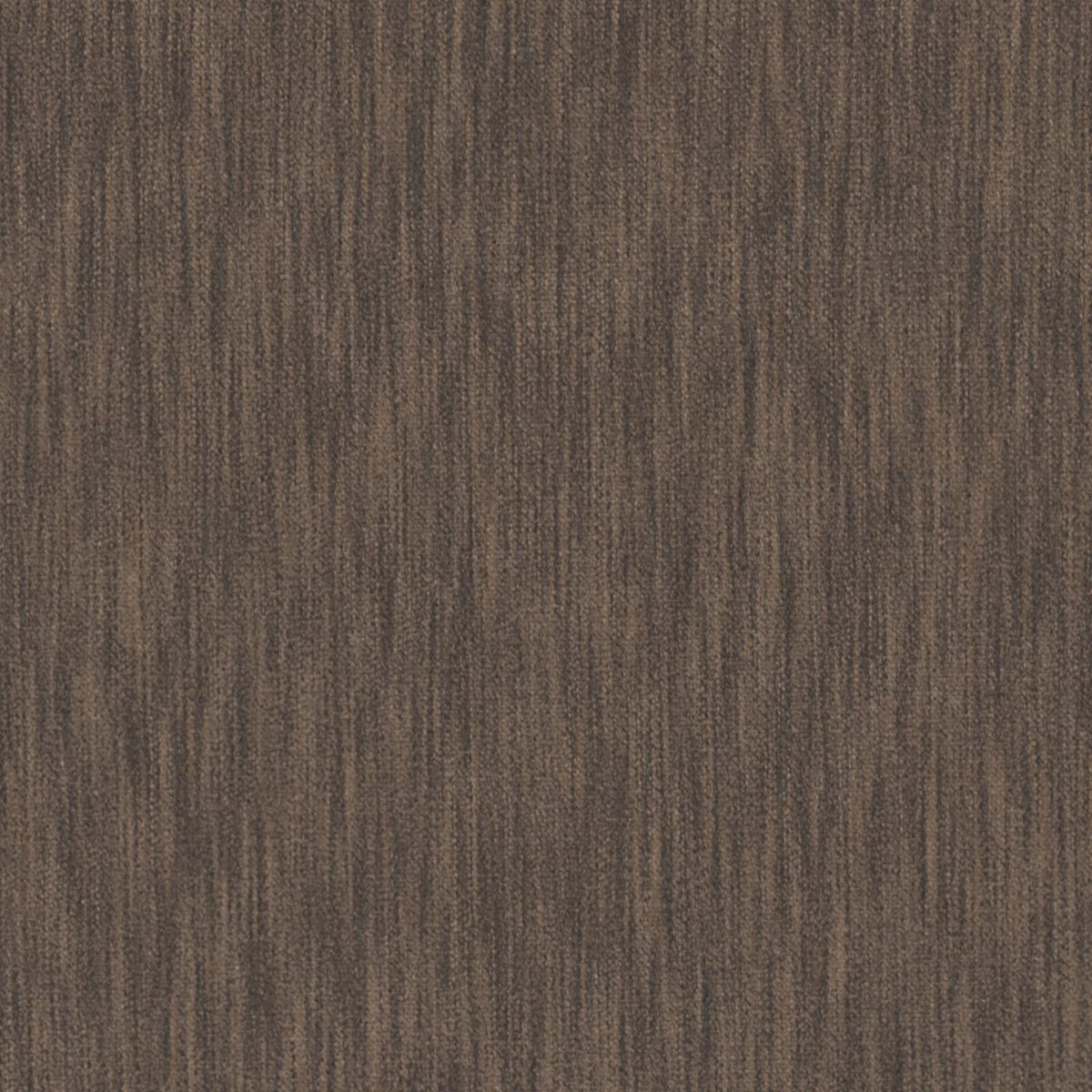MAXWELL FABRICS VELVET SOLID,TEXTURE # 444 OTTER - VB5444