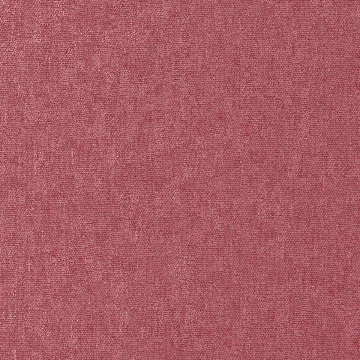 MAXWELL FABRICS CHENILLES SOLIDS,TEXTURES # 881 PEONY - CHE881