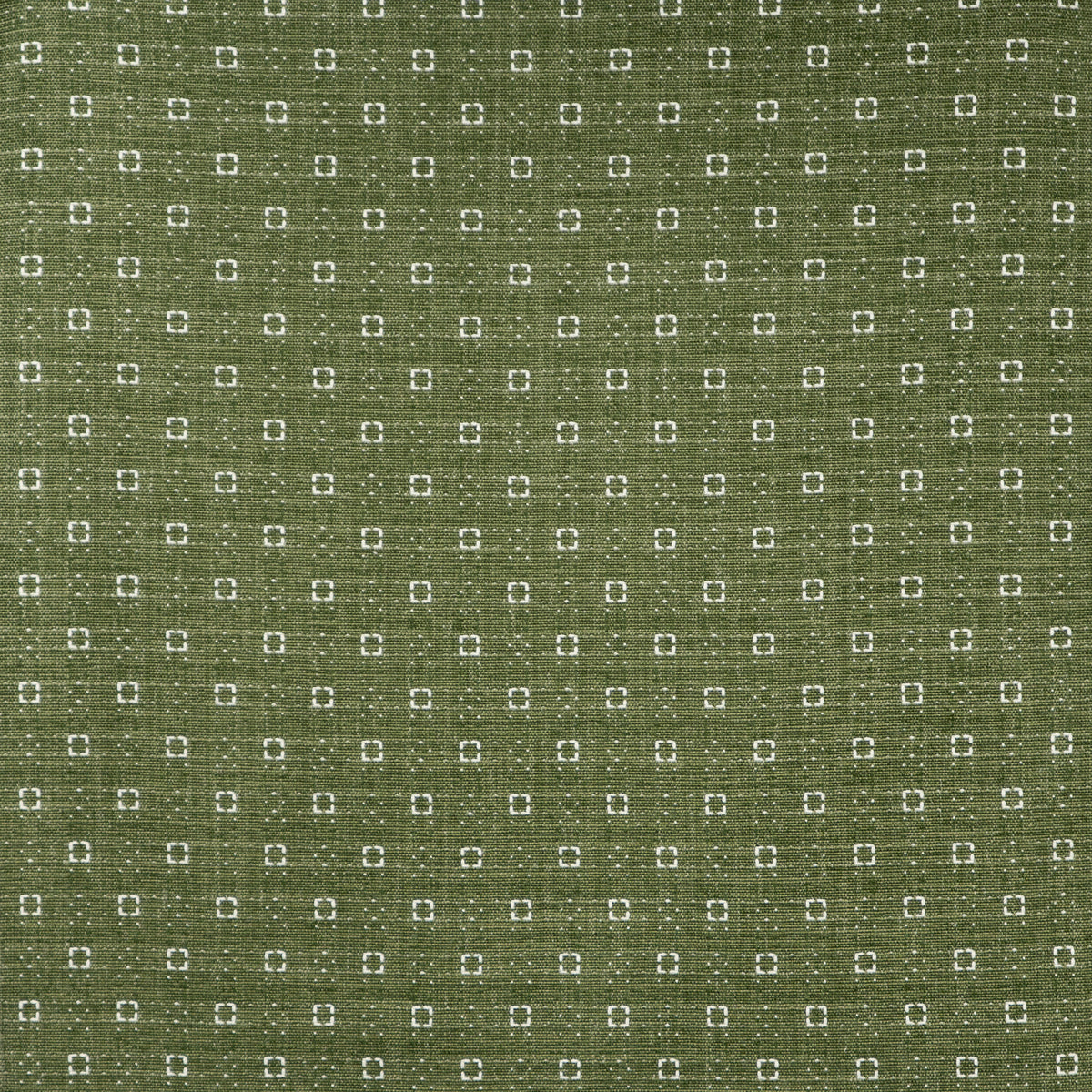 MAXWELL FABRICS UPHOLSTERY PATTERNS # 641 SPROUT - HM9641