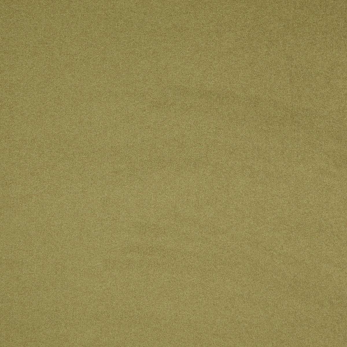 MAXWELL FABRICS VELVET SOLID,TEXTURE # 19 OLIVE - BCX019
