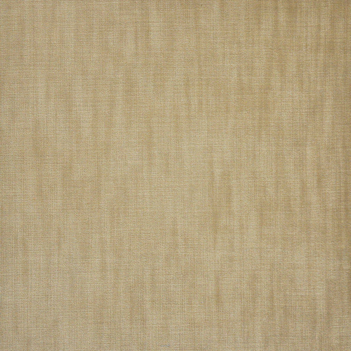 MAXWELL FABRICS VELVET SOLID,TEXTURE # 705 BAMBOO - MW0705