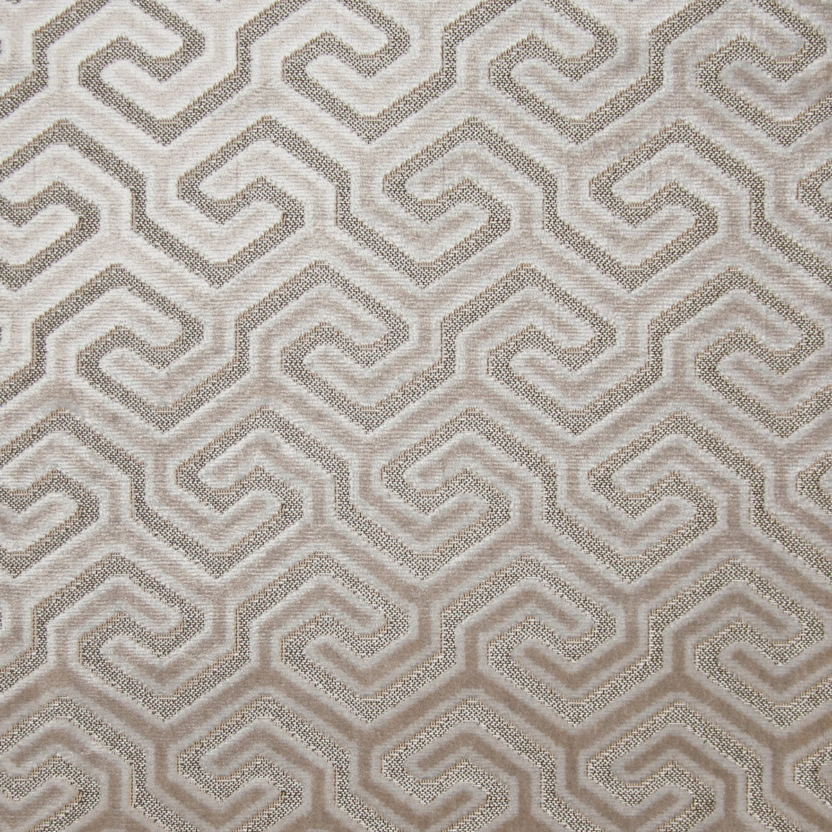 MAXWELL FABRICS VELVET PATTERN # 624 OYSTER - GK1624